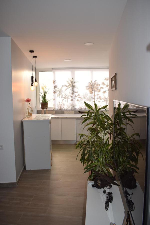 Apartamento Ladevesa Elche Exterior foto